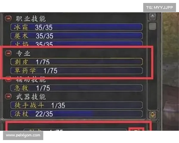 魔兽世界怀旧服骑士技能攻略，快速打怪指南